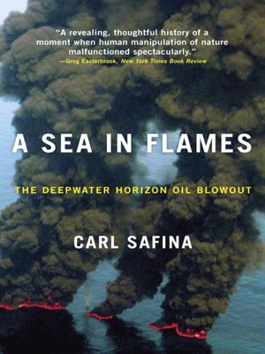 cover image of A Sea in Flames